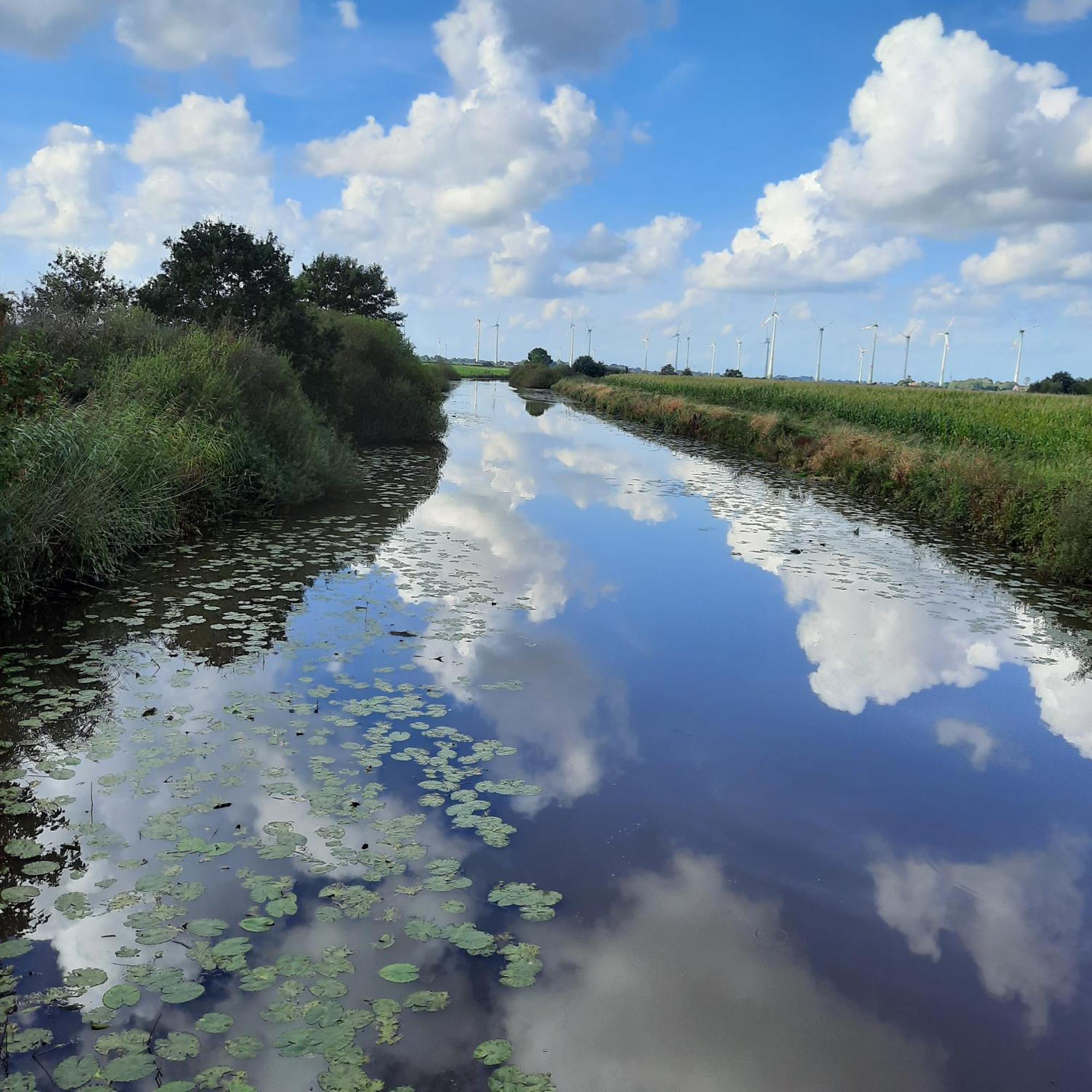 Вилла Harle-Casa.Ostfriesland Altfunnixsiel Экстерьер фото